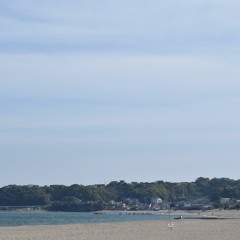 20200503