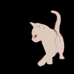 LAPALUX_78.5BPM_3