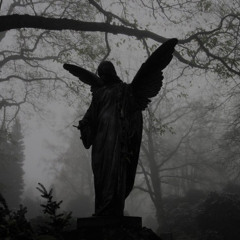 Died n Rose Again