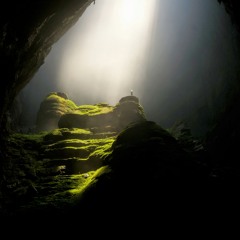 Synchronicity - Carl Jung (Sự đồng bộ)