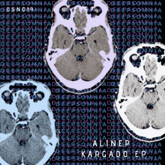 Alinep - Chorlton Chant (Original Mix) PREVIEW