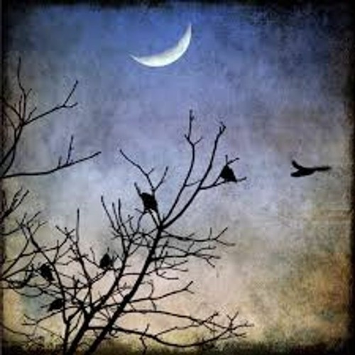 ~ Cresent Twilight Mix ~