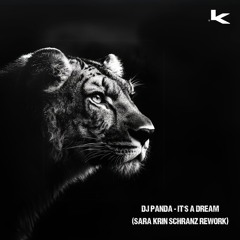 DJ PANDA - IT'S A DREAM (SARA KRIN Schranz Rework)