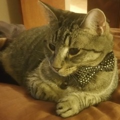 Here Comes The Rain (Amanda's Song)