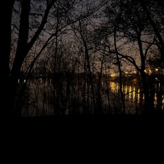 Triste, Alfredo, Triste