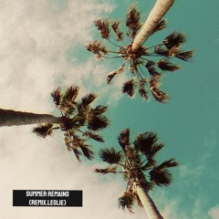 Summer Remains - Frank Ocean(Leslie remix)