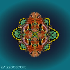 Kaleidoscope
