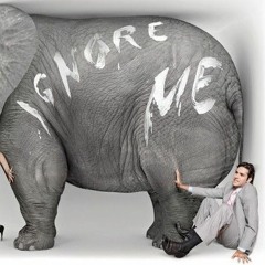 مساء الجدل | 5- شنق الفيل