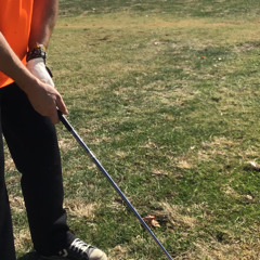 I want to go golfing and with a giant sloth (and Payne Stewart tiger woods bill spiller Ben hogan Annika sorenstem Calvin Pete and other)