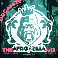 Organize- the official Afrozilla promo mix pt. 2