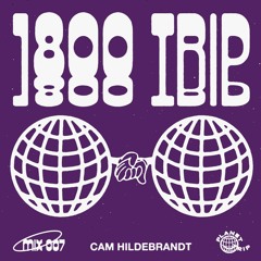 1800 triiip - Cam Hildebrandt - 007