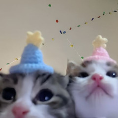 me and you w/ misfit