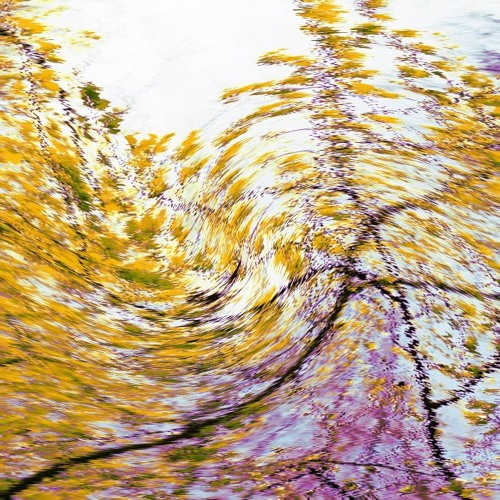 Excerpt from "The Sound of May" (disturbed stereo mix)