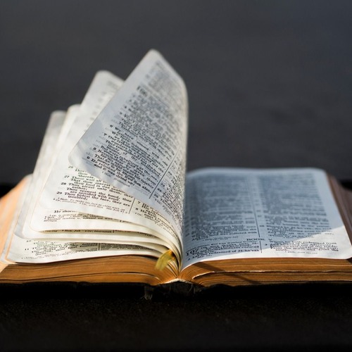 Bible Scriptures for Encouragement