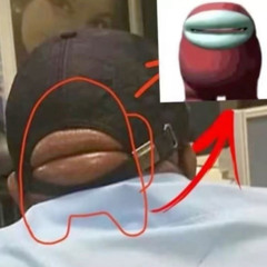 בואי נדבר פליפ