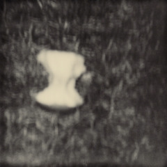 Apple (cover)
