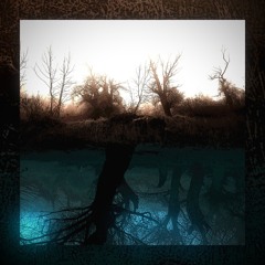Echos of the Dying Woods