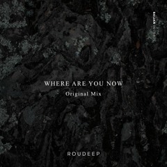 Roudeep - Where Are You Now