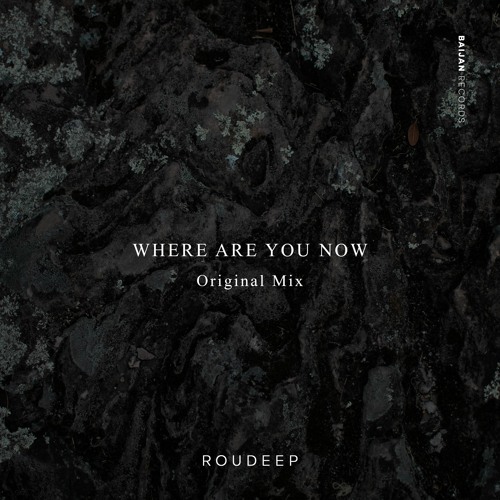 Stream Roudeep - Where Are You Now by Baijan Records