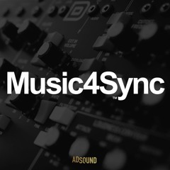 ELECTRIC FEEL | Sylvain Texier