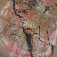 Experimental - Ambient - Industrial - Field Music - Noise - Drone