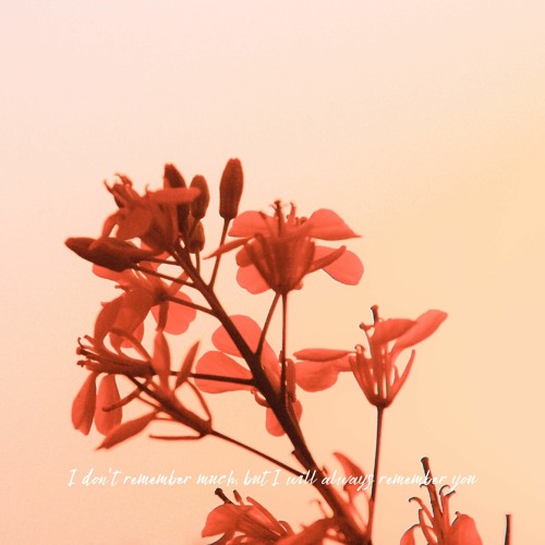 (Free) Lofi x Powfu Type Beat - Aphasia