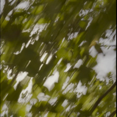 Sara Rikas - Feel my love (Hi this is PIERRE remix)