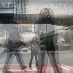 saucy longwe - SANITY (swaJ)