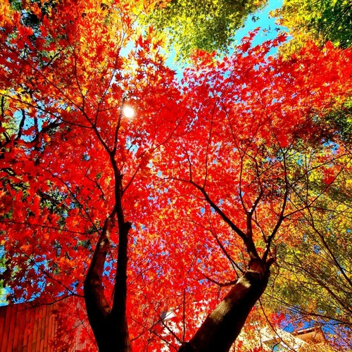 Listen to playlists featuring [내 형통이 주의 형통과 다르다]... for free on SoundCloud [내 형통이 주의 형통과 다르다]창39:1-10