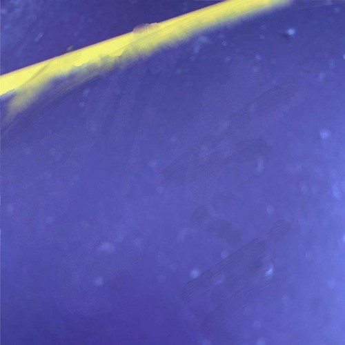 The Revenge 'Distant Signal' [J.E.A.N. Remix]