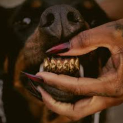 Mutt but its Nola Bounce