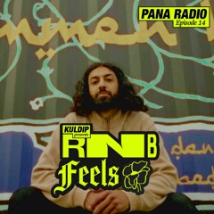 EPISODE 14 - KULDIP SINGH RNB FEELS (GUESTMIX)