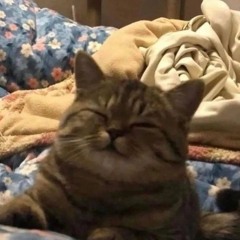 KIRILIK - Я умру в ахуенных вещах