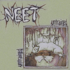 Neet-Untrained