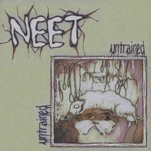 Neet-Untrained