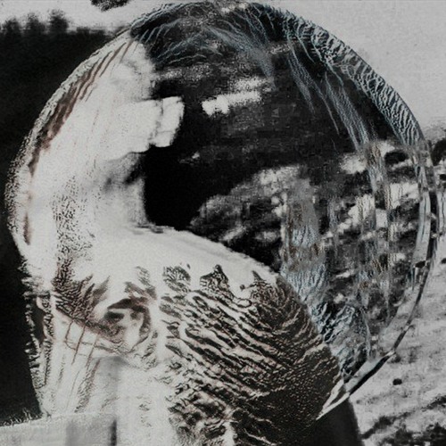 Saùdion & Salince - NEED U