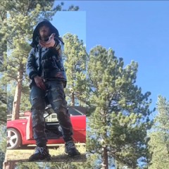 rodeo prod lorell