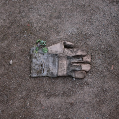 daspyte & c lambo - shii2rare prod rob kap