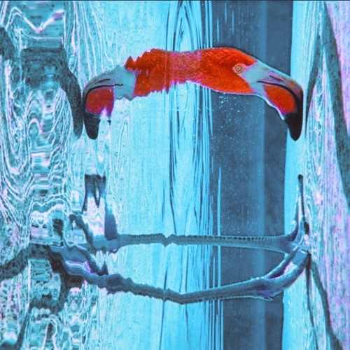 Hvm3dªnz