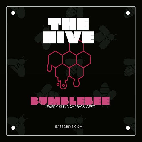 The Hive on Bassdrive.com 07-24-2022 w/ guest host Schematic