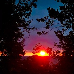 we could've been prod. enjyng