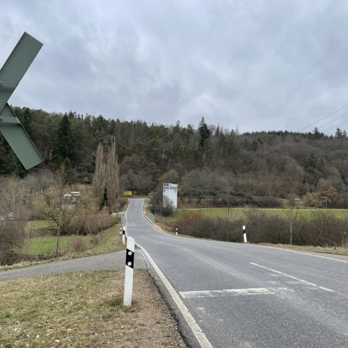 Двузер — Parent issues(slowed)