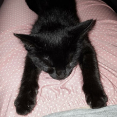 i wna leave evrythng