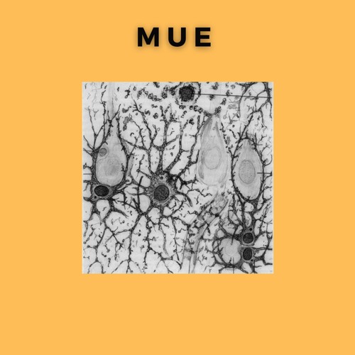 MUE