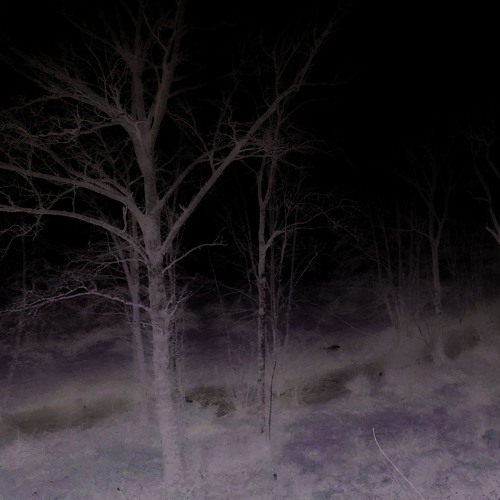 Fragment 10 - La rouille dans l'éclat noir