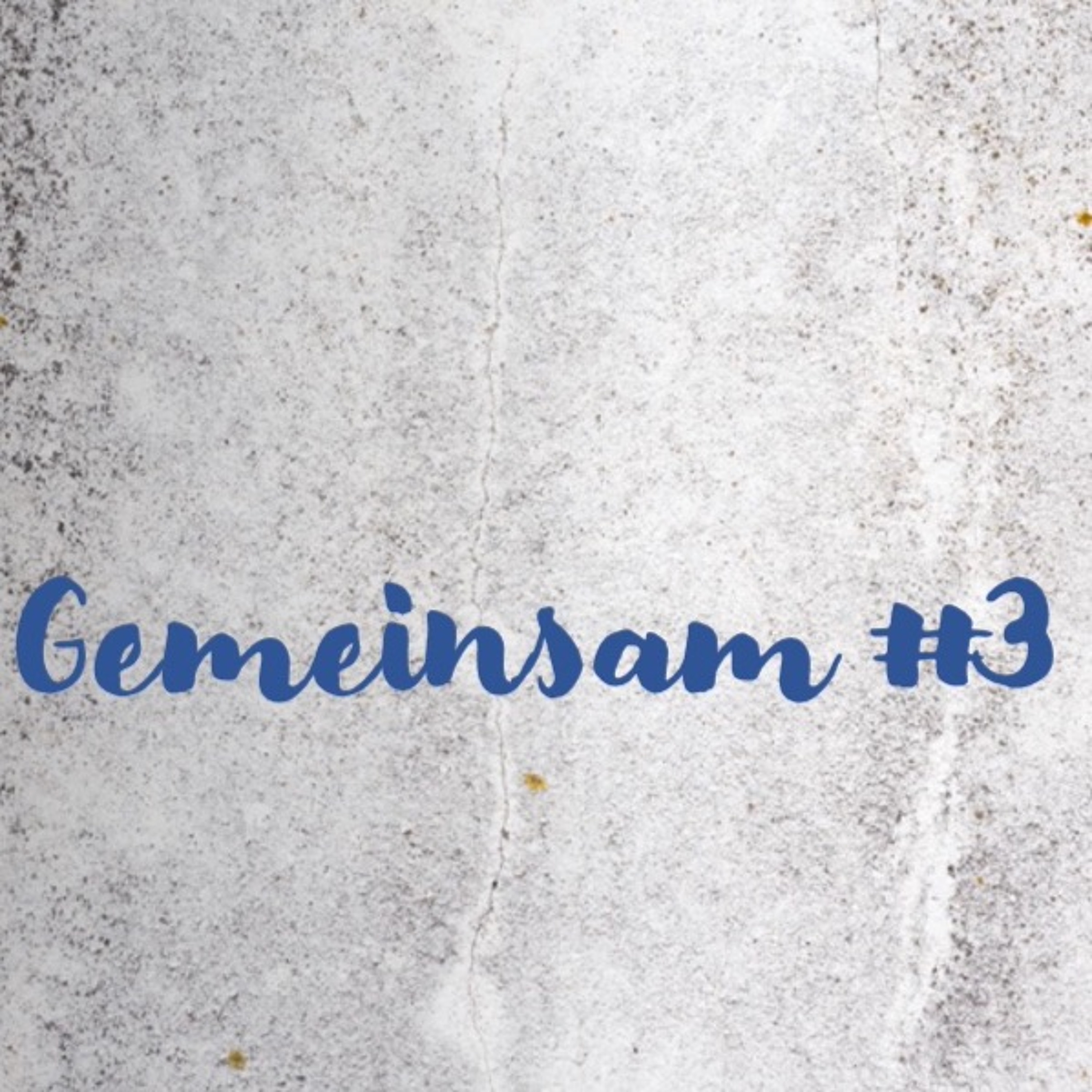 Gemeinsam #3 (P. Georg Rota) episode artwork