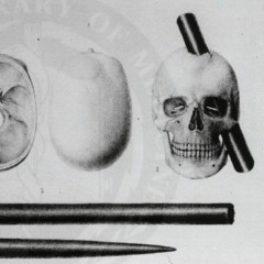 Phin - 9520, 9.20 AM (rough)