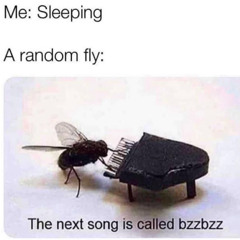 flying insect repellent