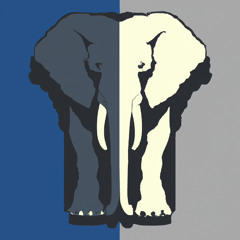 Today Comes Once In Your Life