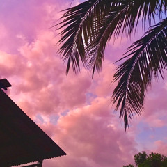 NONSTOP 2023 | HÃNG HÀNG KHÔNG QUỐC GIA VIỆT NAM XIN THÔNG BÁO -BlubFire